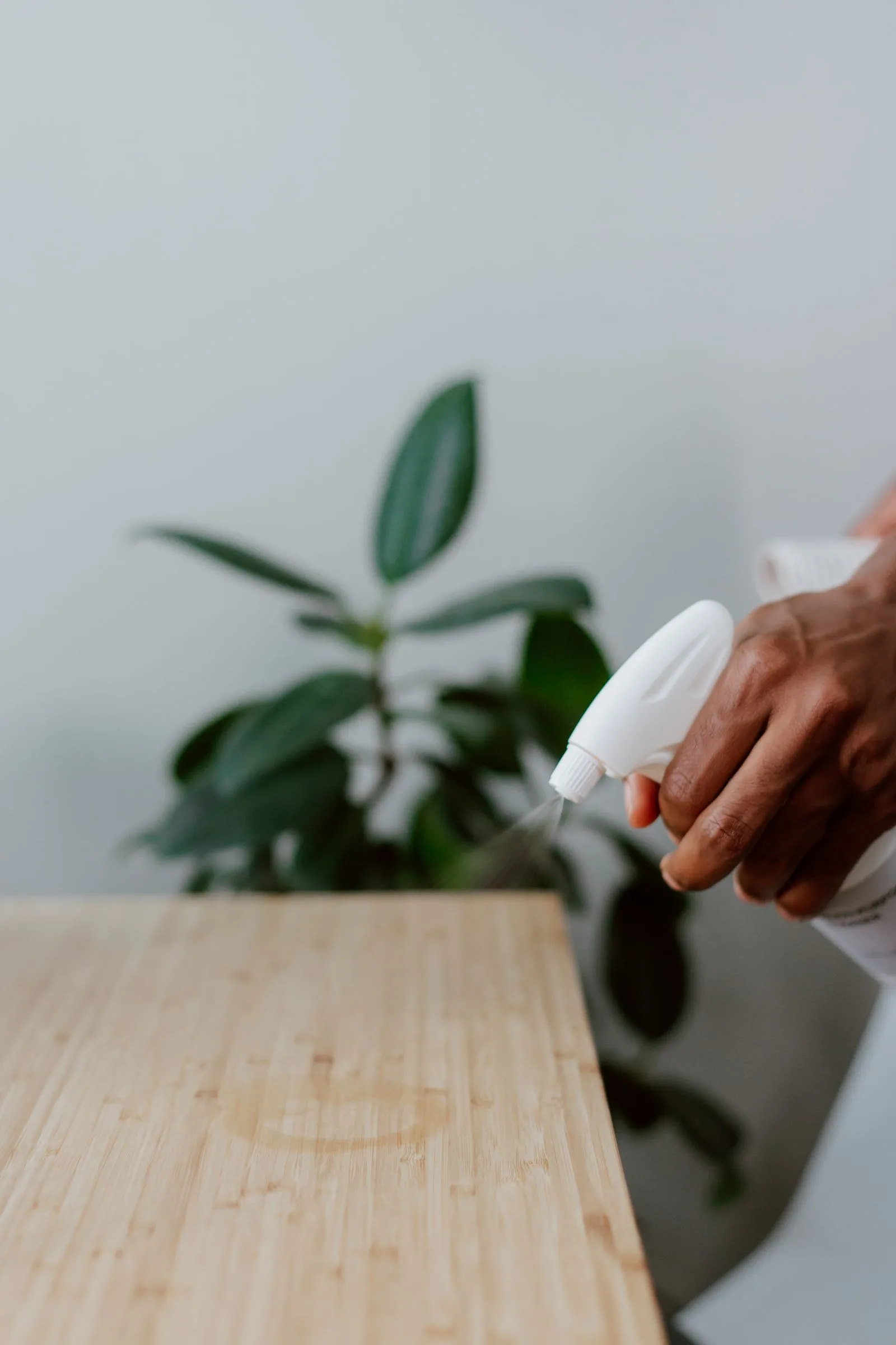 Routine cleaning inside a home