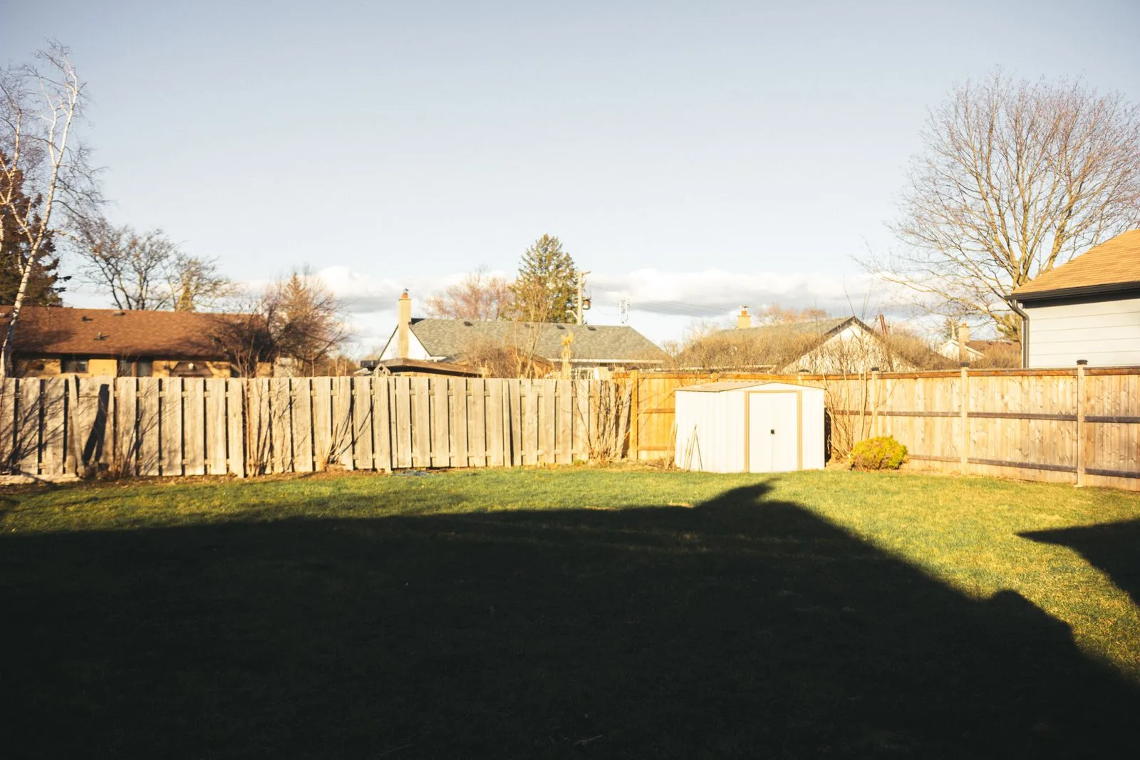 Garden and outdoor space beside a home