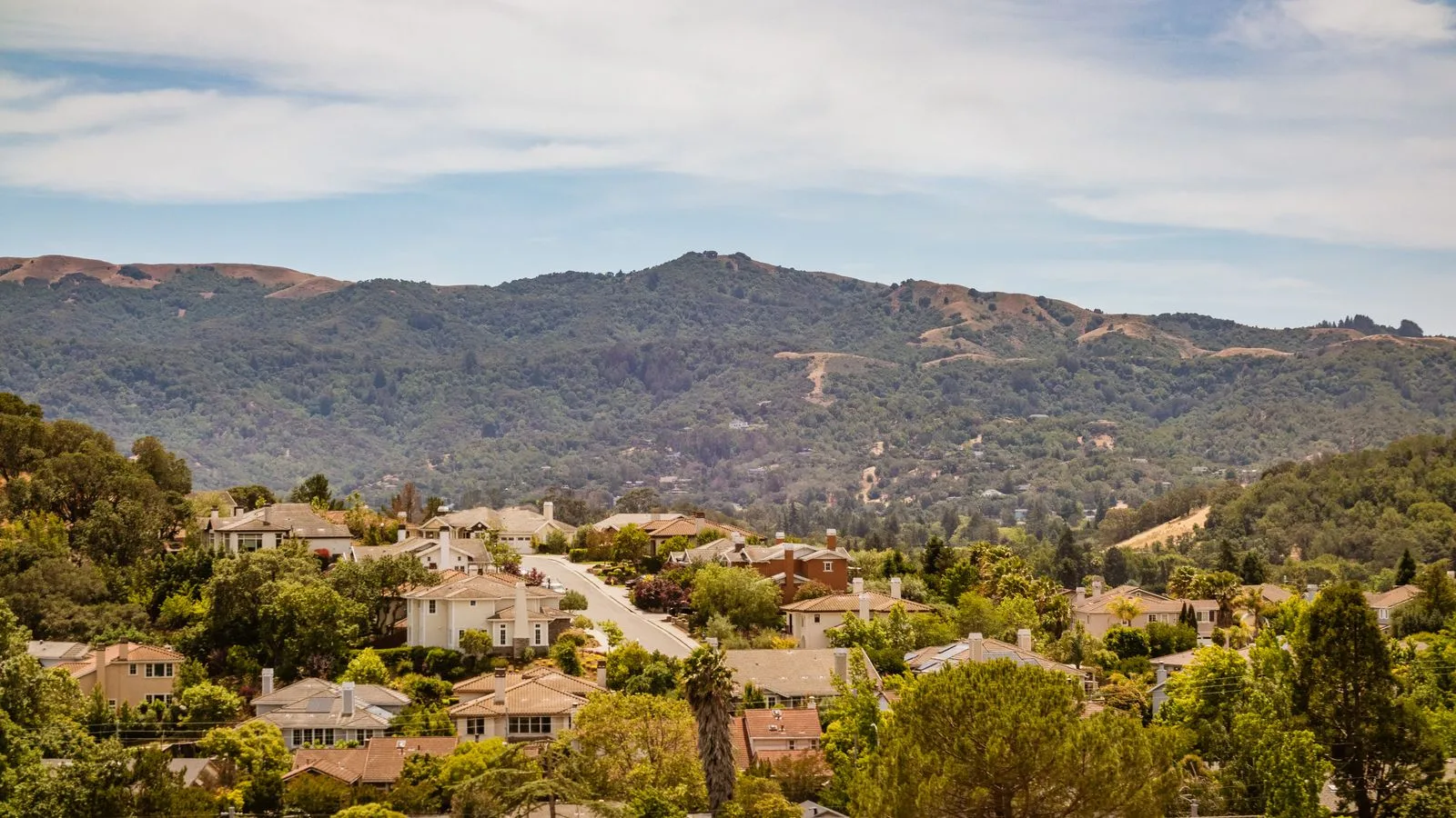 Homes in a residential neighborhood
