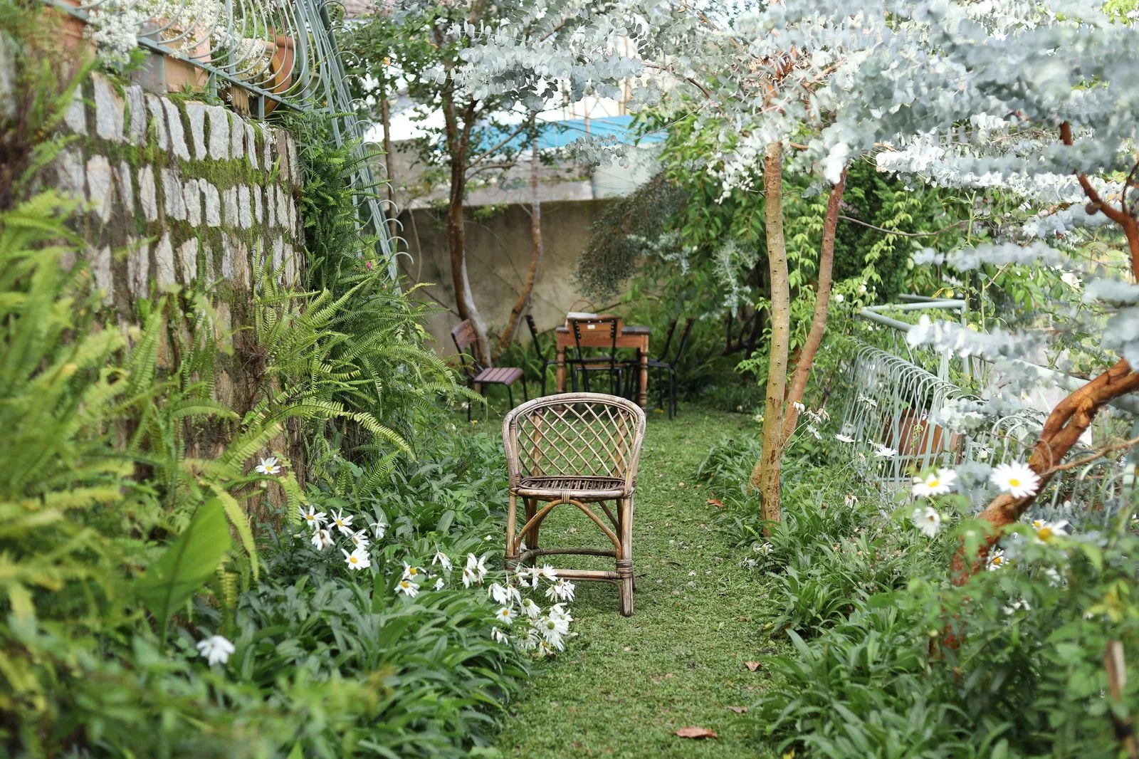 Garden and outdoor space beside a home