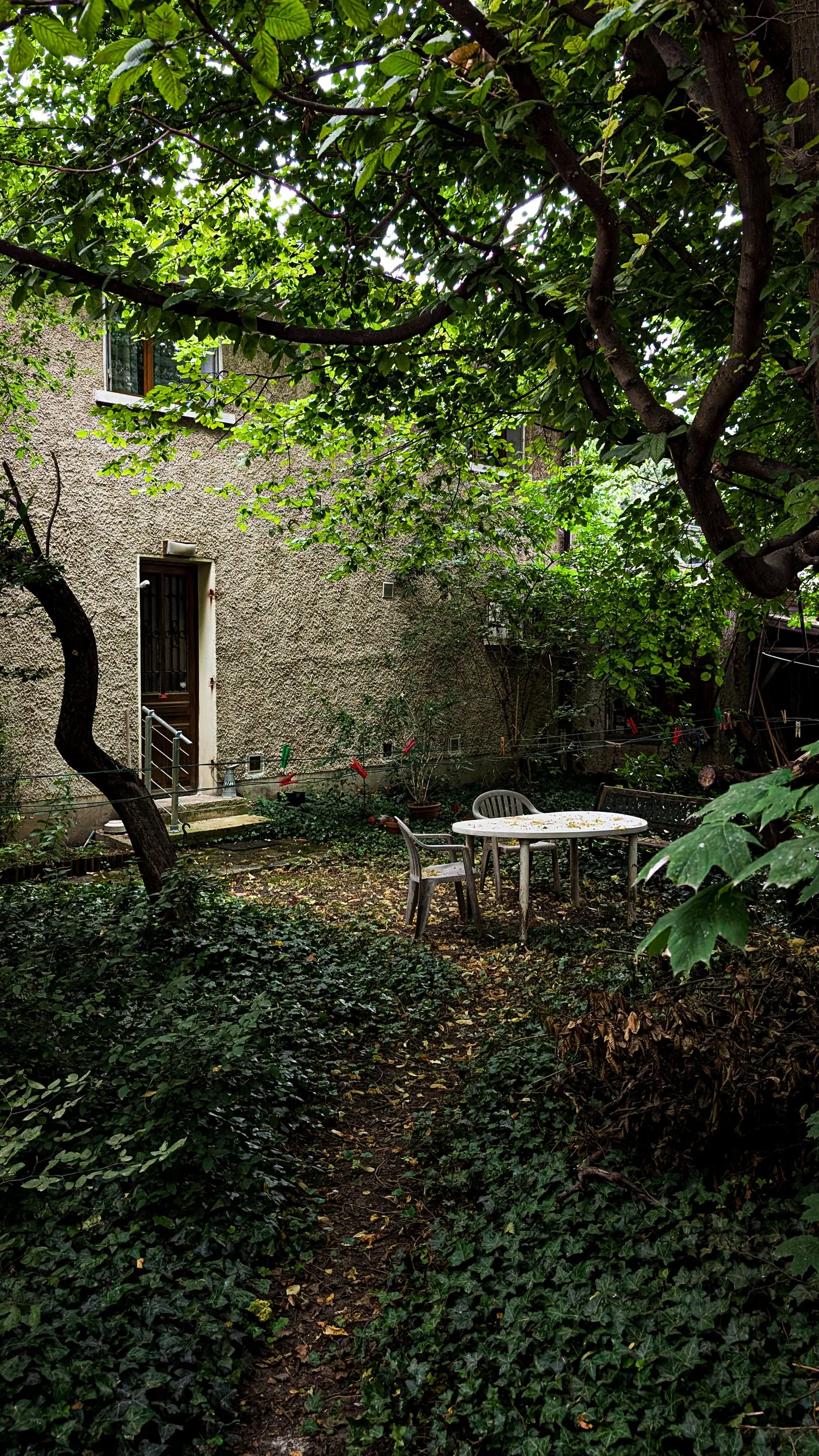 Garden and outdoor space beside a home