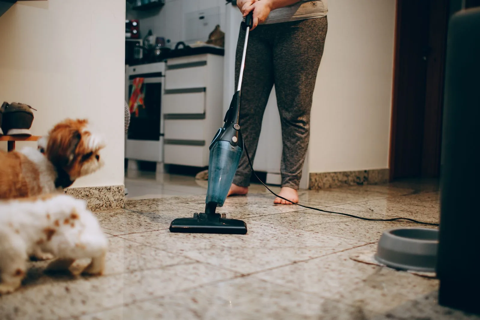 Vacuuming a floor beside a dog