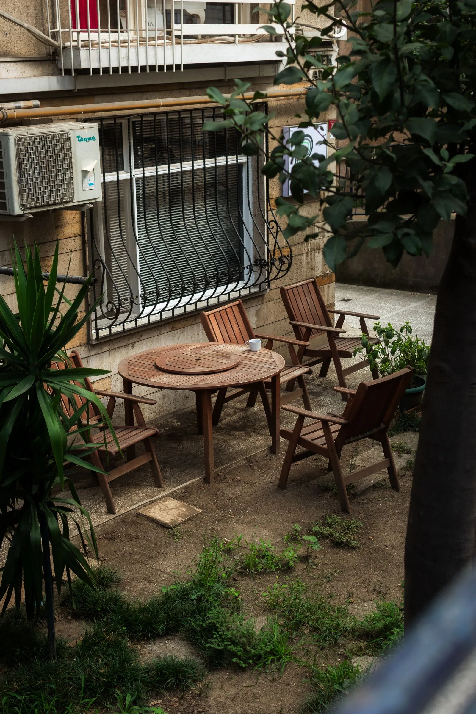 Garden and outdoor space beside a home