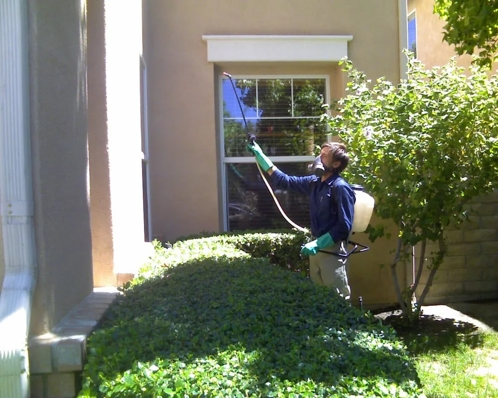 Technician treating the exterior of a home